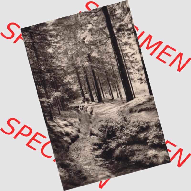 Fotos DDR, Bezirk Karl-Marx-Stadt, Ehrenfriedersdorf im Erzgebirge 1969, Greifenbachtal - Am Röhrgraben. Fotos vom Verlag Erhard Neubert KG zu DDR-Zeiten 1969. Fotos... Sammlung
