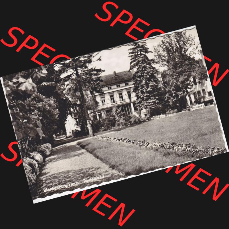 Ansichtskarte in s/w DDR, Bezirk Magdeburg, Blankenburg, Harz, Teufelsbad. Ansichtskarte bzw. Postkarte aus DDR-Zeiten Bezirk Magdeburg der Deutschen Demokratischen... Sammlung