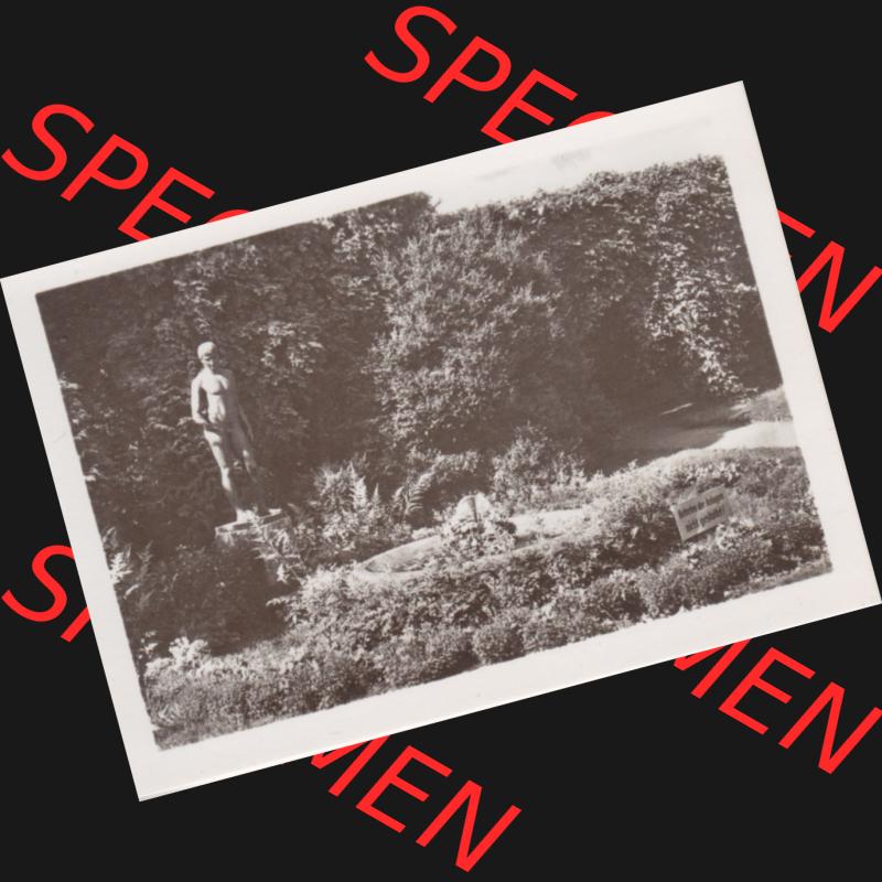Fotos der DDR Bezirk Suhl, Kreis Bad Salzungen, Stadt Bad Liebenstein, Ansichten Mappe vom Verlag Erhard Neubert, Karl-Marx-Stadt, 1954 Schloß Altenstein, Partie... Sammlung
