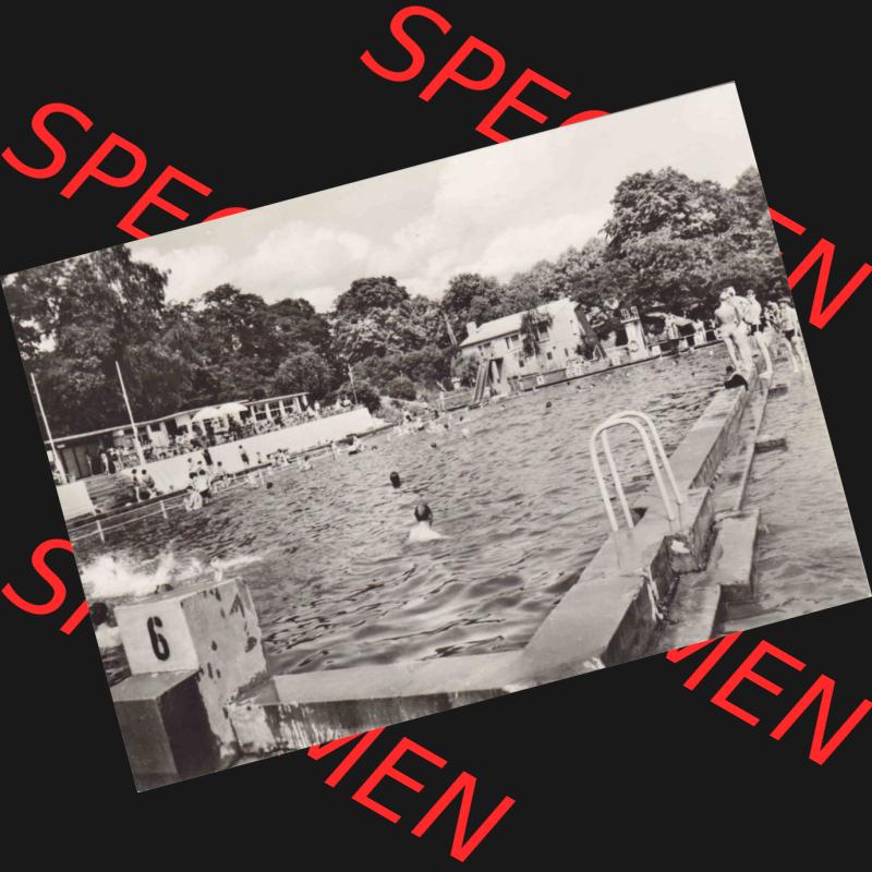 Ansichtskarte in s/w DDR, Osterburg, Altmark, Waldschwimmbad. Ansichtskarte bzw. Postkarte aus DDR-Zeiten Bezirk Magdeburg der Deutschen Demokratischen Republik vom... Sammlung