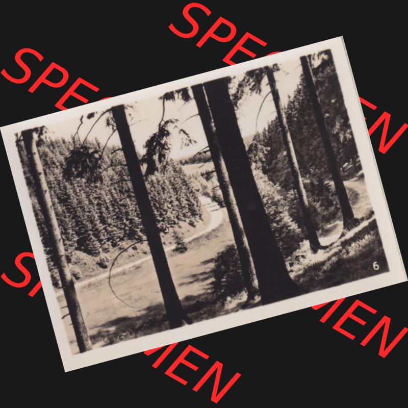 Fotos DDR, Bezirk Magdeburg, Kreis Wernigerode, Stadt Benneckenstein / Harz, Foto-Mappe mit 10 echte Photos 6. Im Ochsenbachtal. Fotos aus DDR-Zeiten Bezirk Magdeburg... Sammlung