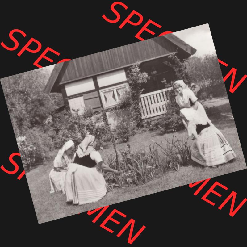 Fotos DDR Bezirk Cottbus, Kreis Lübben, Spreewald 1980, Foto-Mappe mit 10 Ansichten vom Spreewald 1980 We Blotach (0005) - Fotos DDR Bezirk Cottbus, Kreis Lübben,... Sammlung