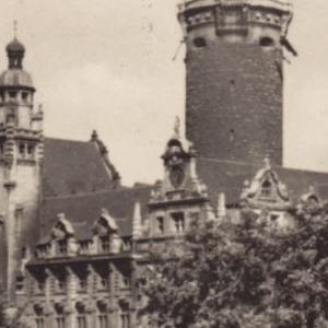 Ausschnitt zur Qualitätsprüfung vom Digitalen Bild Qualität