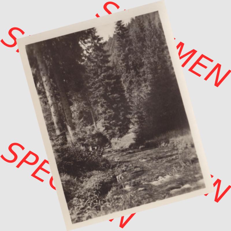 DDR Bezirk Suhl, Kreis Neuhaus am Rennweg, Stadt Lauscha mit 10 Echten Fotos aus Foto-Mappe von 1956, Wald - Göritzgrund. Foto-Abzüge aus DDR-Zeiten Bezirk Suhl der Deutschen... Sammlung