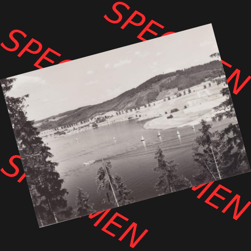 Fotos DDR Bezirk Gera, Kreis Schleiz, Stadt Saalburg-Ebersdorf, Ortsteil Saalburg 1968, 10 Dick-Fotos vom Dick-Foto-Verlag Erlbach i. V., Foto-Mappe 5060 Saaletalsperre... Sammlung