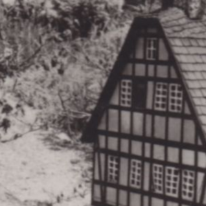 Ausschnitt zur Qualitätsprüfung vom Digitalen Bild Qualität