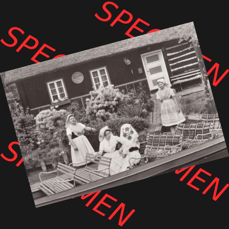 Fotos DDR Bezirk Cottbus, Kreis Lübben, Spreewald 1980, Foto-Mappe mit 10 Ansichten vom Spreewald 1980 We Blotach (0008) - Fotos DDR Bezirk Cottbus, Kreis Lübben,... Sammlung
