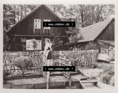 10 Echte Fotos vom Spreewald 1959, Frau im Spreewald im Gehege Sammlung