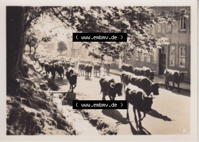 Fotos aus DDR-Zeiten, Bezirk Magdeburg der DDR Sammlung