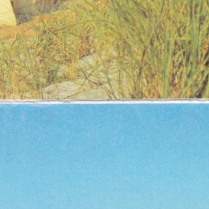 Ausschnitt zur Qualitätsprüfung vom Digitalen Bild Qualität
