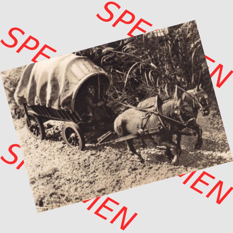 Fotos DDR, Bezirk Karl-Marx-Stadt, Kreis Flöha, Oederan/Sa. Klein-Erzgebirge 1975, 10 Fotobildchen, Verlag Erhard Neubert KG, Ansicht Pferdewagen aus... Sammlung