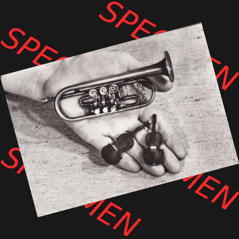 DDR Bezirk Karl-Marx-Stadt, Kreis Klingenthal, Stadt Markneukirchen, 1974 Musikinstrumenten-Museum, 10 Kleinbild-Fotos VEB Foto-Verlag, 9934 Erlbach III 23 27, III 23... Sammlung