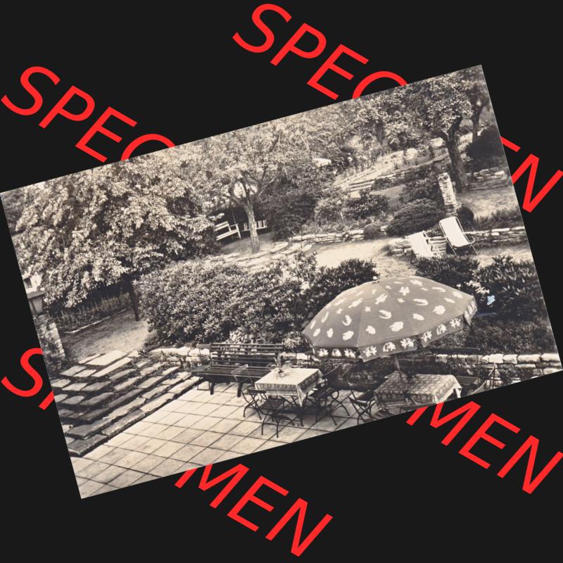 Ansichtskarten DDR Bezirk Leipzig, Leipzig Stadt in s/w - schwarzweiß, Kreis Grimma im Bezirk Leipzig der DDR, Colditz. Ansichtskarte bzw. Postkarte aus DDR-Zeiten... Sammlung