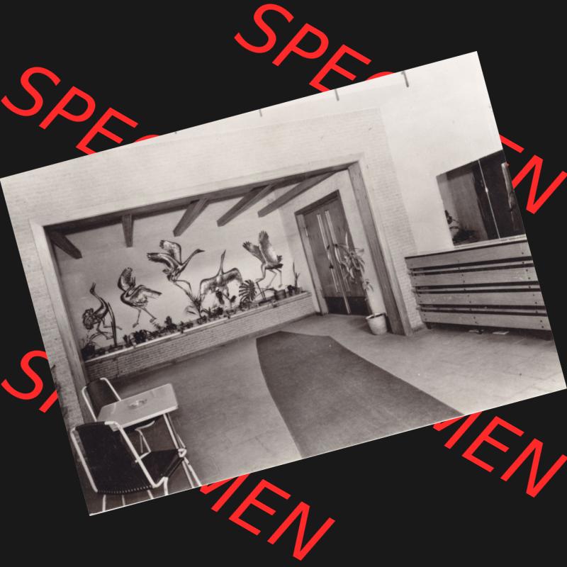 Sammlung
