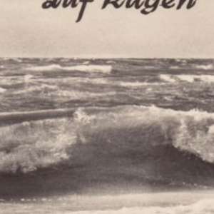 Ausschnitt zur Qualitätsprüfung vom Digitalen Bild Qualität