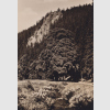 Digitales Bild Weiter