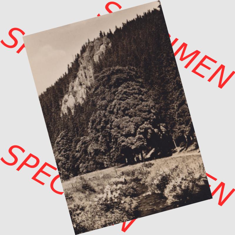 Alte Fotos DDR Bezirk Suhl, Kreis Schmalkalden-Meiningen, Stadt Oberhof Ansicht von 1962, 5536 Räuberstein mit Silbergraben. Sammlung