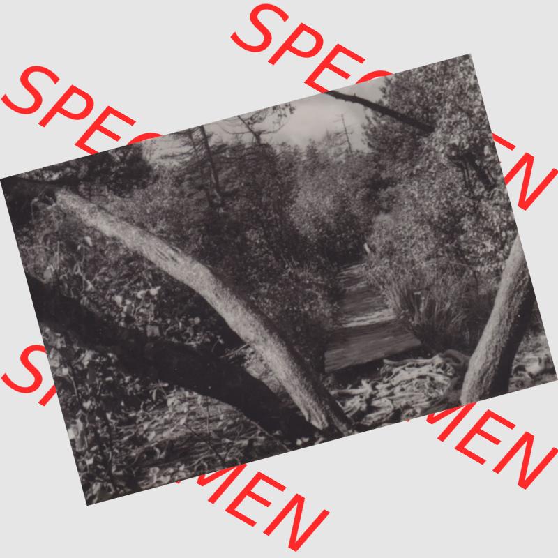 Fotos DDR Bezirk Dresden, Osterzgebirge 1974, Zinnwald-Georgenfeld, NSG Hochmoor. Alte Foto Ansichten, Foto-Mappe vom Verlag VEB-Foto-Verlag, 9934 Erlbach I.... Sammlung