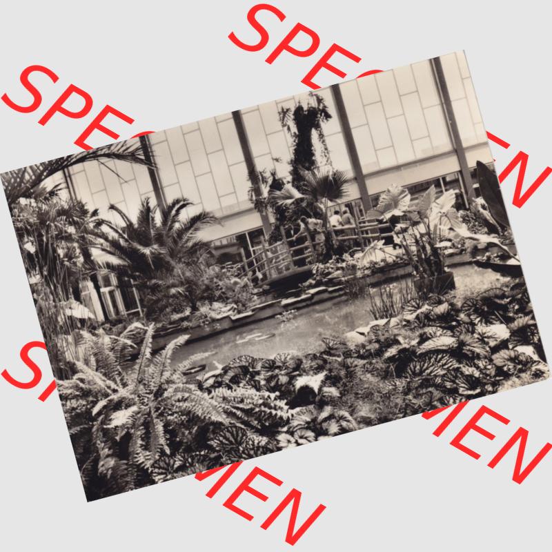 Ansichtskarten DDR Bezirk Berlin, Stadt Berlin in s/w / schwarzweiß, Graphokopie H. Sander K.G. Berlin 1964, Tropenhalle in Alfred-Brehm-Haus.... Sammlung