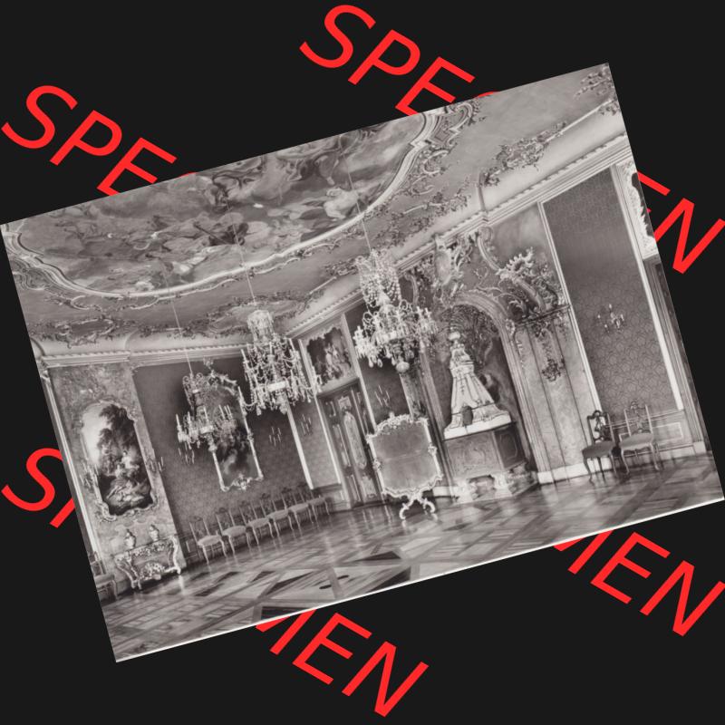 Alte s/w Ansichtskarte Echt Foto DDR Bezirk Gera, Kreis Rudolstadt, Museen Schloss Heidecksburg (Thüringen) 1983, Roter Saal. Echt Foto Ansichtskarte aus DDR-Zeiten... Sammlung