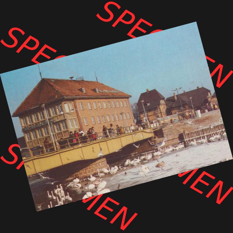Ansichtskarten DDR Bezirk Rostock, Stadtkreis Rostock, Hansestadt Rostock Rostock-Warnemünde, Am Alten Strom mit Schwänen. Alte Ansicht in der DDR Bezirk Rostock,... Sammlung