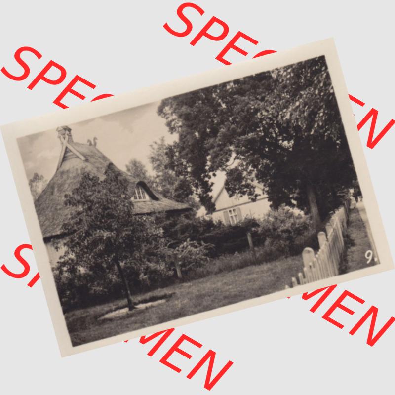 Foto DDR Bezirk Rostock, Kreis Ribnitz-Damgarten, Ostseebad Prerow Mappe in s/w 1975, 9. Waldstraße. Altes Foto aus Mappe mit 10 Echte Foto-Handabzügen mit... Sammlung