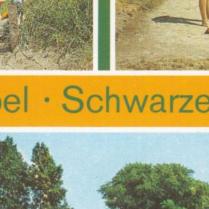 Ausschnitt zur Qualitätsprüfung vom Digitalen Bild Qualität