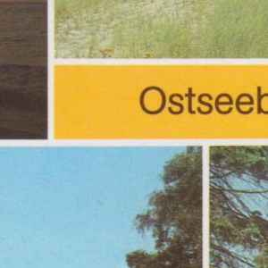 Ausschnitt zur Qualitätsprüfung vom Digitalen Bild Qualität