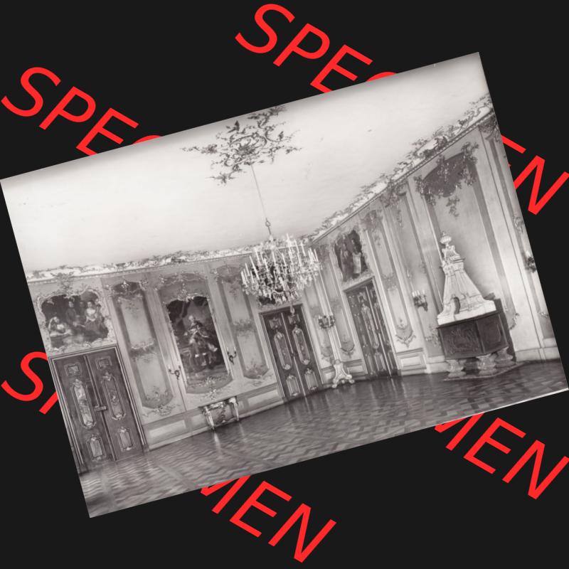 Alte s/w Ansichtskarte Echt Foto DDR Bezirk Gera, Kreis Rudolstadt, Museen Schloss Heidecksburg (Thüringen) 1983, Grüner Saal. Echt Foto Ansichtskarte aus... Sammlung
