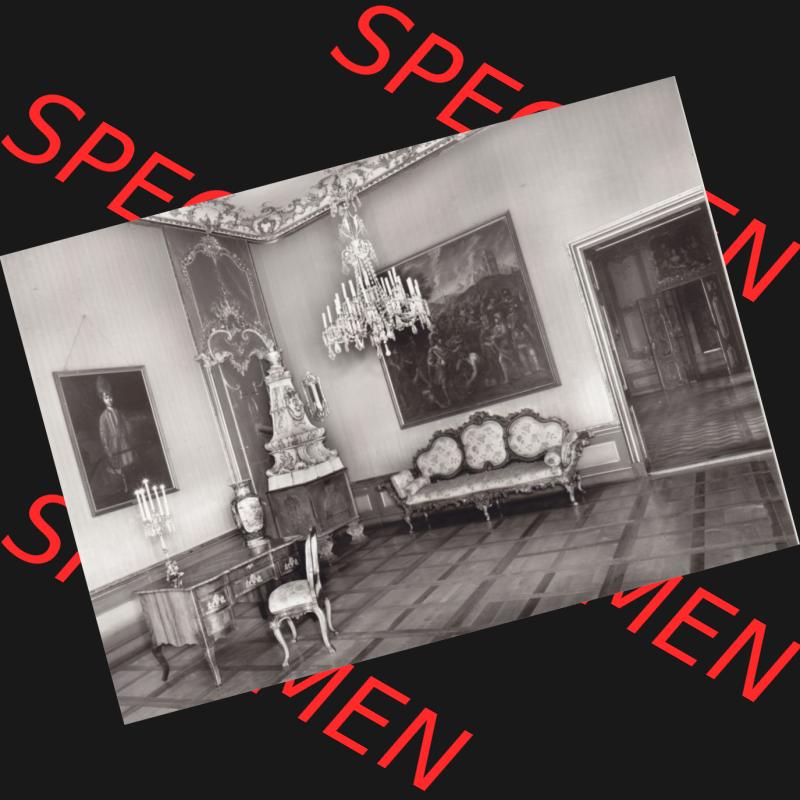 Alte s/w Ansichtskarte Echt Foto DDR Bezirk Gera, Kreis Rudolstadt, Museen Schloss Heidecksburg (Thüringen) 1983, Grünes Eckkabinet. Echt Foto Ansichtskarte... Sammlung