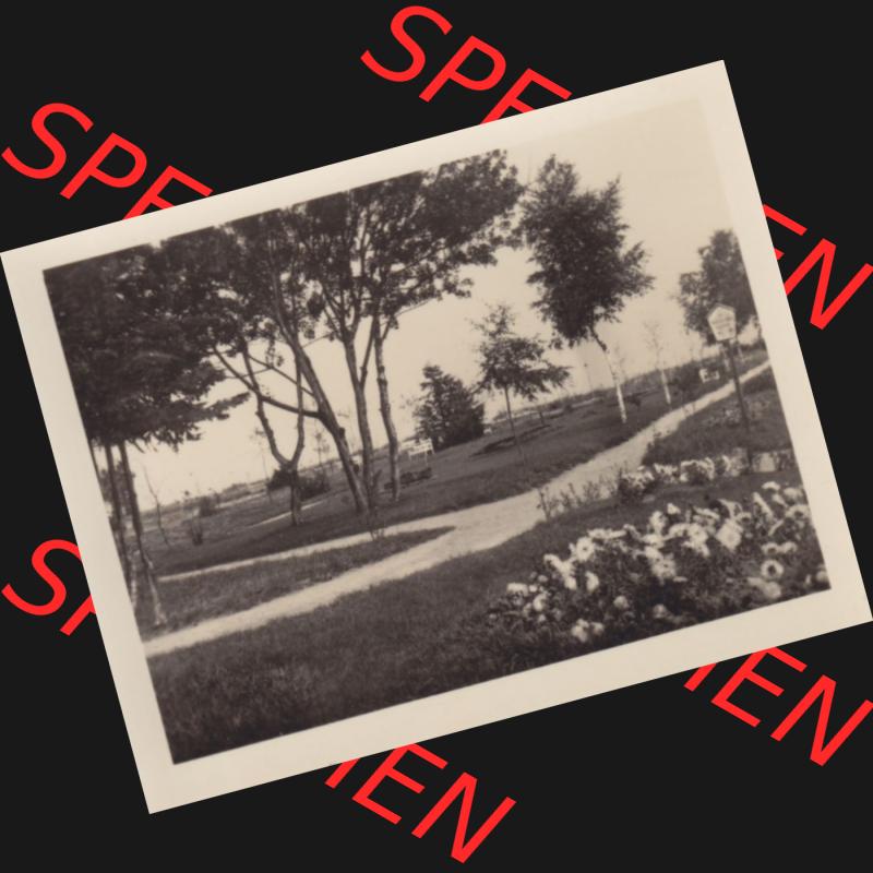 Fotos DDR Bezirk Rostock, Kreis Rügen, Ostseebad Baabe Mappe mit alter Ansicht von 1955, 648 Konzertplatz in Baabe Rügen. DDR Bezirk Rostock, Kreis Rügen,... Sammlung