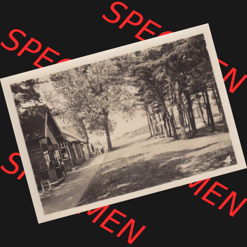 Foto DDR Bezirk Rostock, Kreis Ribnitz-Damgarten, Ostseebad Prerow Mappe in s/w 1975, 4. Strandweg. Altes Foto aus Mappe mit 10 Echte Foto-Handabzügen mit je einer... Sammlung