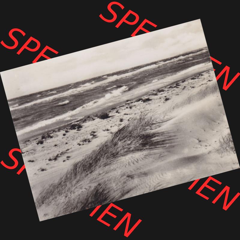 Altes Foto DDR Bezirk Rostock, Kreis Ribnitz-Damgarten, Ostseebad Dierhagen mit Ansicht 1959, Stürmische See. Altes Foto mit Ansicht der DDR Bezirk Rostock, Kreis Ribnitz-Damgarten,... Sammlung
