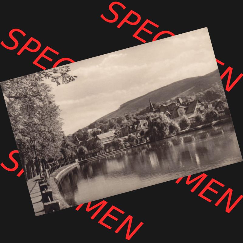 Fotos DDR, Bezirk Magdeburg, Kreis Wernigerode, Gemeinde Ilsenburg / Harz 1965, Forellenteich. Das alte Foto wurde 1965 innerhalb einer Foto-Mappe mit 10 ECHTE KLEINFOTOS-Ansichten... Sammlung