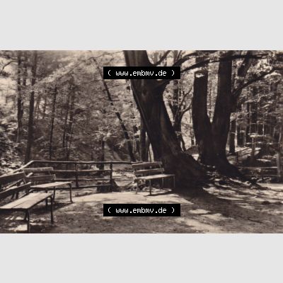 Fotos DDR, Bezirk Magdeburg, Kreis Wernigerode, Gemeinde Ilsenburg / Harz 1965, Im Ilsetal, Am Blockhauer. Das alte Foto wurde 1965 innerhalb einer Foto-Mappe mit... Sammlung