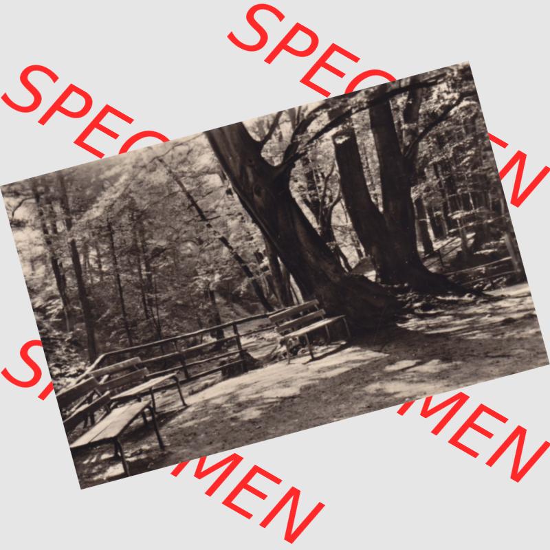 Fotos DDR, Bezirk Magdeburg, Kreis Wernigerode, Gemeinde Ilsenburg / Harz 1965, Im Ilsetal, Am Blockhauer. Das alte Foto wurde 1965 innerhalb einer Foto-Mappe mit... Sammlung