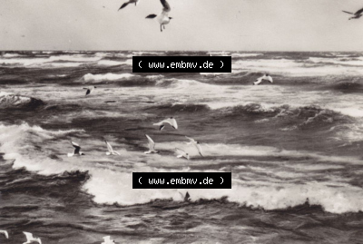 Ostseebad Lubmin in s/w 1966, 9. An der Ostsee, P 1-66 IV-14-45 N 579, Heldge-Verlag KG, Köthen/Anhalt Sammlung