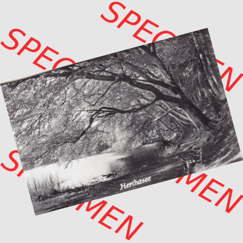 Foto-Ansicht DDR Bezirk Rostock, Kreis Rügen, Ostseebad Sellin 1959, Mit auf dem Foto unbeschriebenen Motiv (0010). Foto vom Graphokopie Heinz Sander G, Berlin... Sammlung