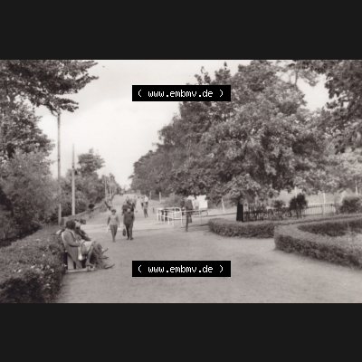 Alte Ansichten-Foto DDR Bezirk Rostock, Kreis Greifswald Ostseebad Lubmin in s/w 1966, 5. Ostseebad Lubmin Strandpromenade, P 1-66 IV-14-45 N 5289. DDR Bezirk Rostock,... Sammlung