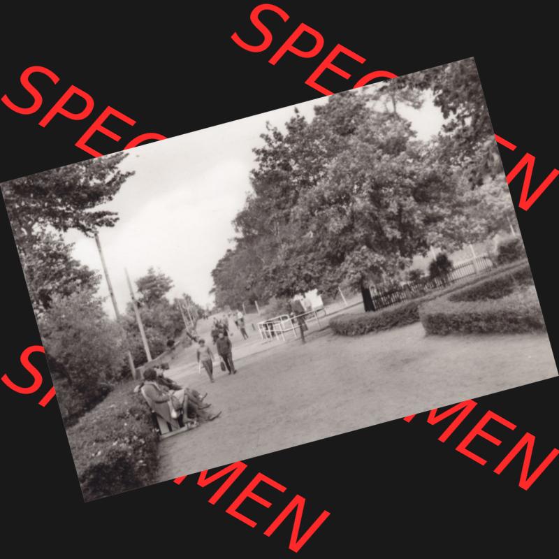 Alte Ansichten-Foto DDR Bezirk Rostock, Kreis Greifswald Ostseebad Lubmin in s/w 1966, 5. Ostseebad Lubmin Strandpromenade, P 1-66 IV-14-45 N 5289. DDR Bezirk Rostock,... Sammlung