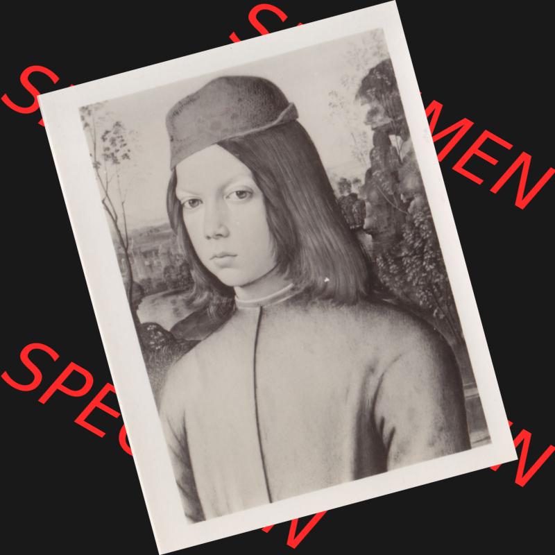 Fotos DDR Bezirk Dresden, Kreis Dresden, Stadt Dresden Gemäldegalerie Alte Meister, Foto vom Gemälde 1972, Bildnis eines Knaben. Foto von einen Gemälde in... Sammlung