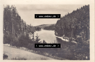 Fotos DDR, Bezirk Erfurt, Kreis Gotha, Tambach-Dietharz in Thüringen, 12 Amateur-Fotos, Foto 6. Talsperre. s/w - schwarzweiß... Sammlung