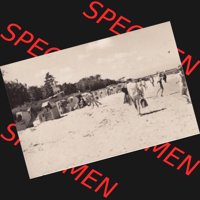 Foto DDR Bezirk Rostock, Kreis Ribnitz-Damgarten, Ostseebad Zingst Mappe in s/w vom Jahrgang 1963 B 8/63, Strand mit Strandkörben Zingst. Altes Foto mit Ansicht der... Sammlung