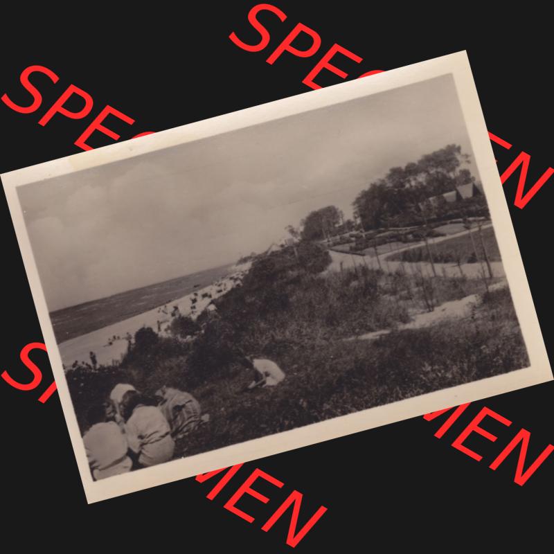 Alte Foto-Ansicht DDR Bezirk Rostock, Kreis Wismar, Gemeinde Insel Poel 1955 Schwarzer Busch am Strand. Alte Fotos mit Ansichten der DDR Bezirk Rostock, Kreis Wismar der Insel... Sammlung