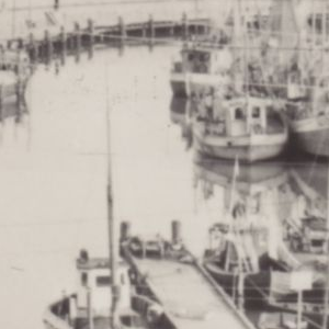 Ausschnitt zur Qualitätsprüfung vom Digitalen Bild Qualität