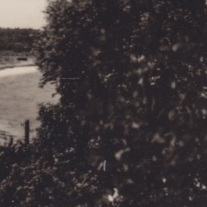 Ausschnitt zur Qualitätsprüfung vom Digitalen Bild Qualität