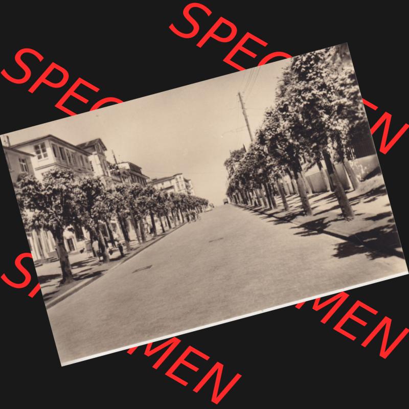 Foto-Ansicht DDR Bezirk Rostock, Kreis Rügen, Ostseebad Sellin 1963, 8. Sellin (Rügen) in Ansichten K 3901. Foto aus DDR-Zeiten der Deutschen Demokratischen... Sammlung