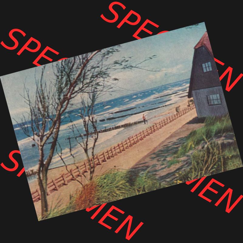 Fotos DDR Bezirk Rostock, Kreis Ribnitz-Damgarten, Ostseebad Ahrenshoop Lithografie von 1963, nach Aufnahmen von Fritz Wegschneider, Kleine Farbserie 4. Haus am Strand.... Sammlung