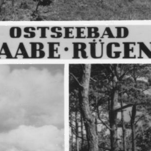 Ausschnitt zur Qualitätsprüfung vom Digitalen Bild Qualität