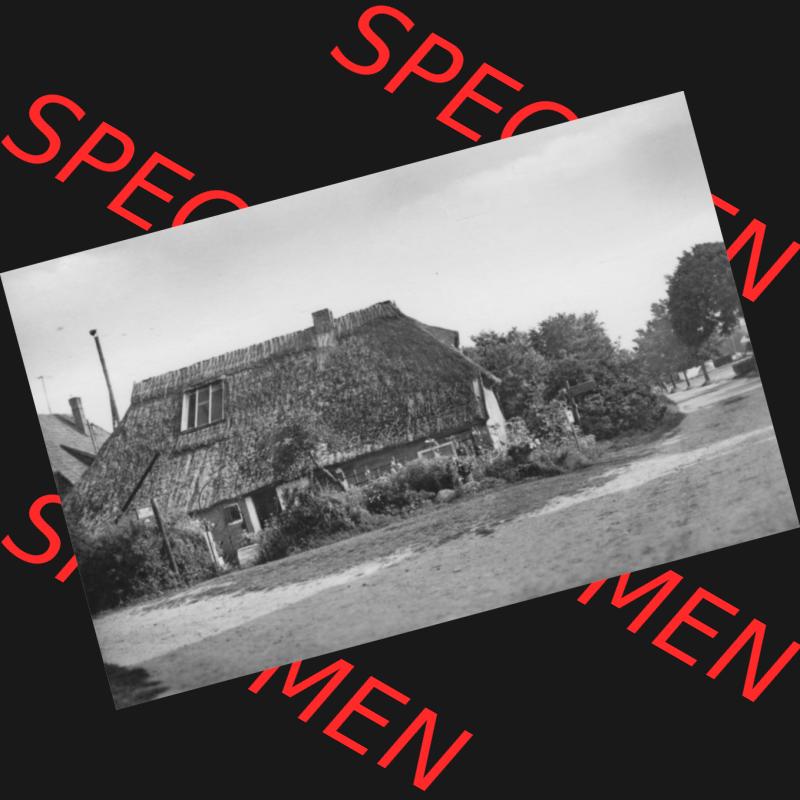 Foto mit Ansicht der DDR Bezirk Rostock, Kreis Rügen, DDR Insel Hiddensee 1970, 7. Vitte bei Hiddensee, Heldge-Verlag KG, Köthen-Anh. DDR Bezirk Rostock,... Sammlung